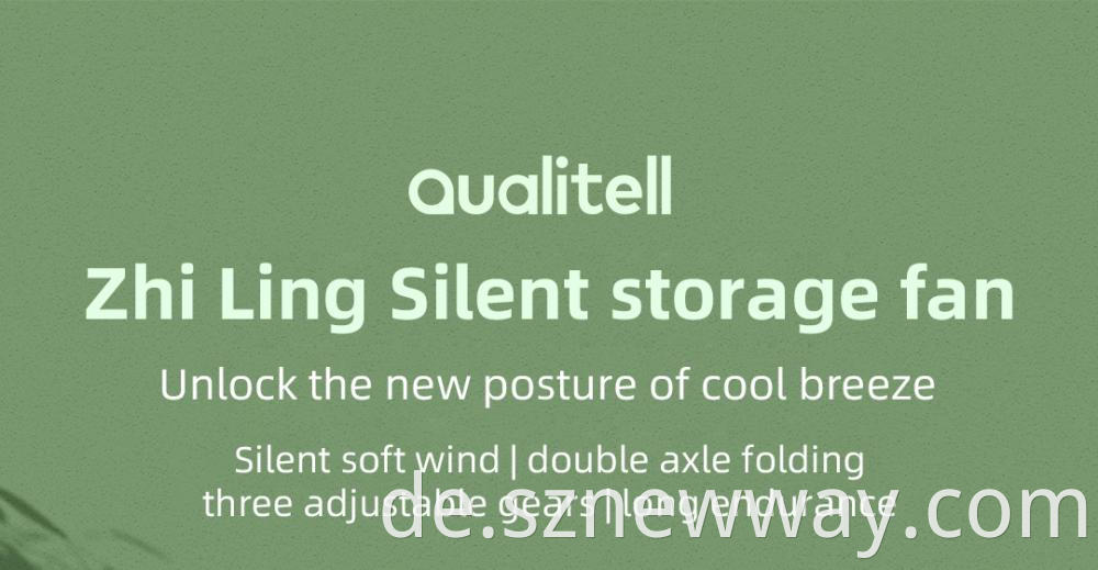 Qualitell Silent Storage Fan